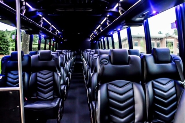38-41 Passenger luxury Mini Coach