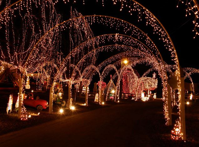 Prepare Yourself for Raleigh's Famous Holiday Lights Tour! - Triangle Corporate Coach