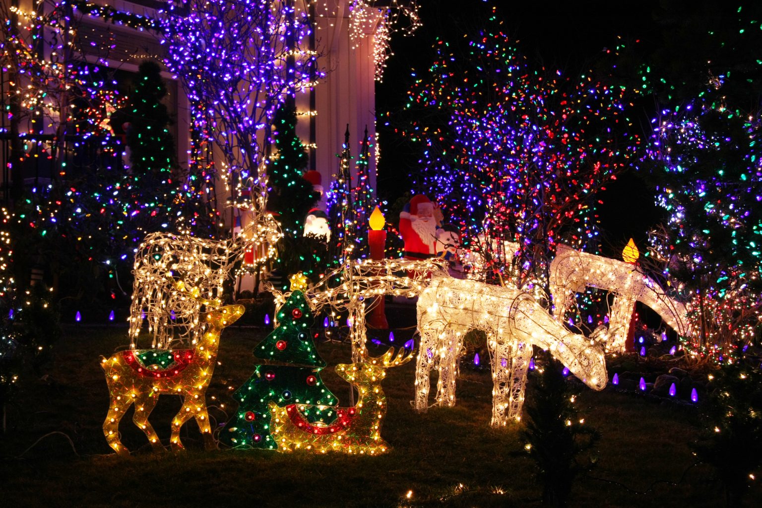 Enjoy a Festive Raleigh Christmas Lights Drive Through with Luxury