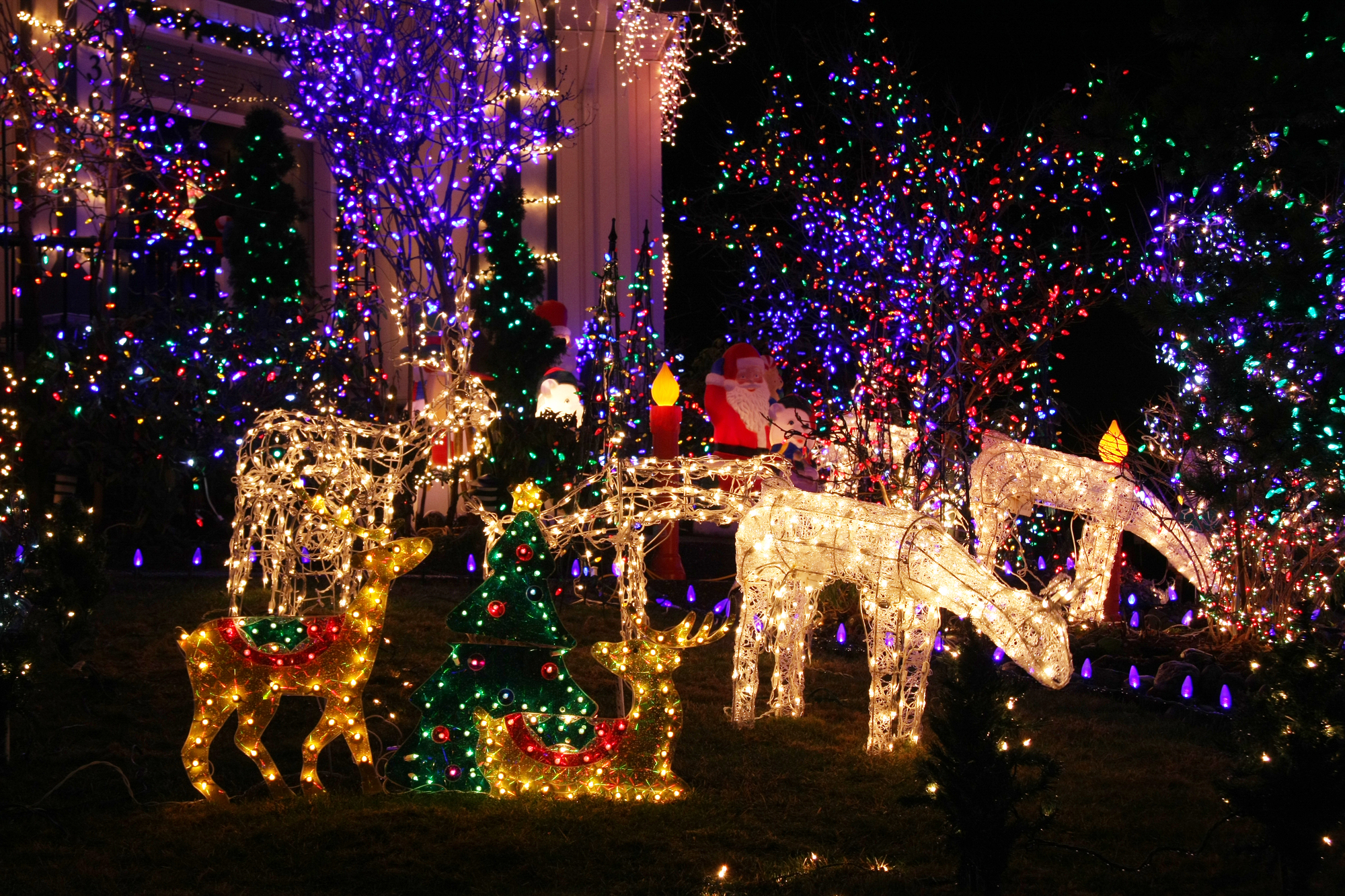Enjoy a Festive Raleigh Christmas Lights Drive Through with Luxury Transportation