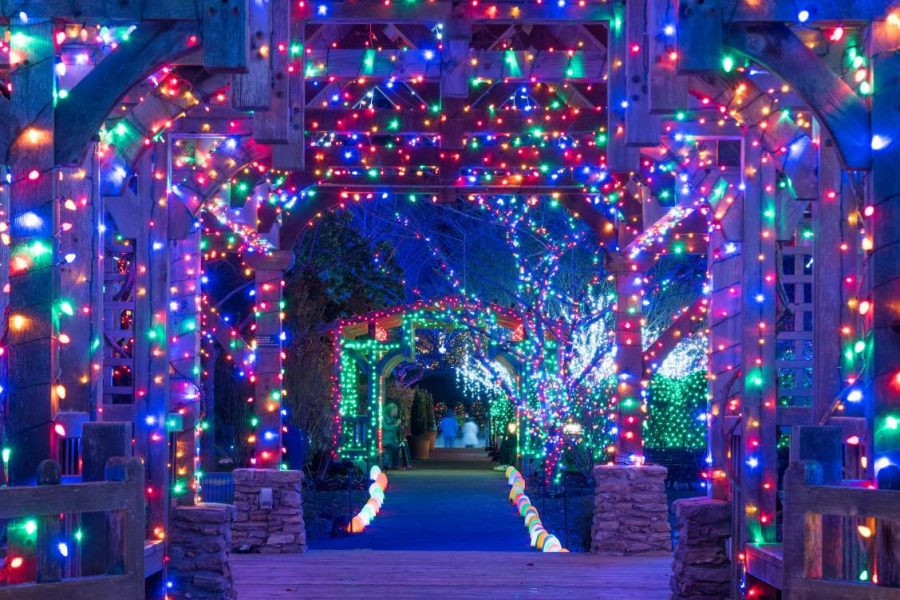 Experience Magical Raleigh Christmas Light Tour with Chauffeured Service